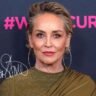 Sharon Stone (67): Celebrating Hollywood’s Glamour and Enduring Grit